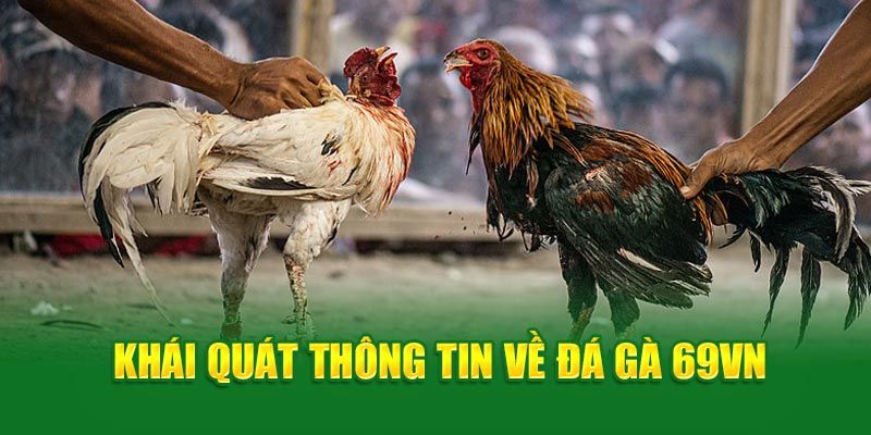 nhung-thong-tin-huu-ich-ve da-ga-69vn